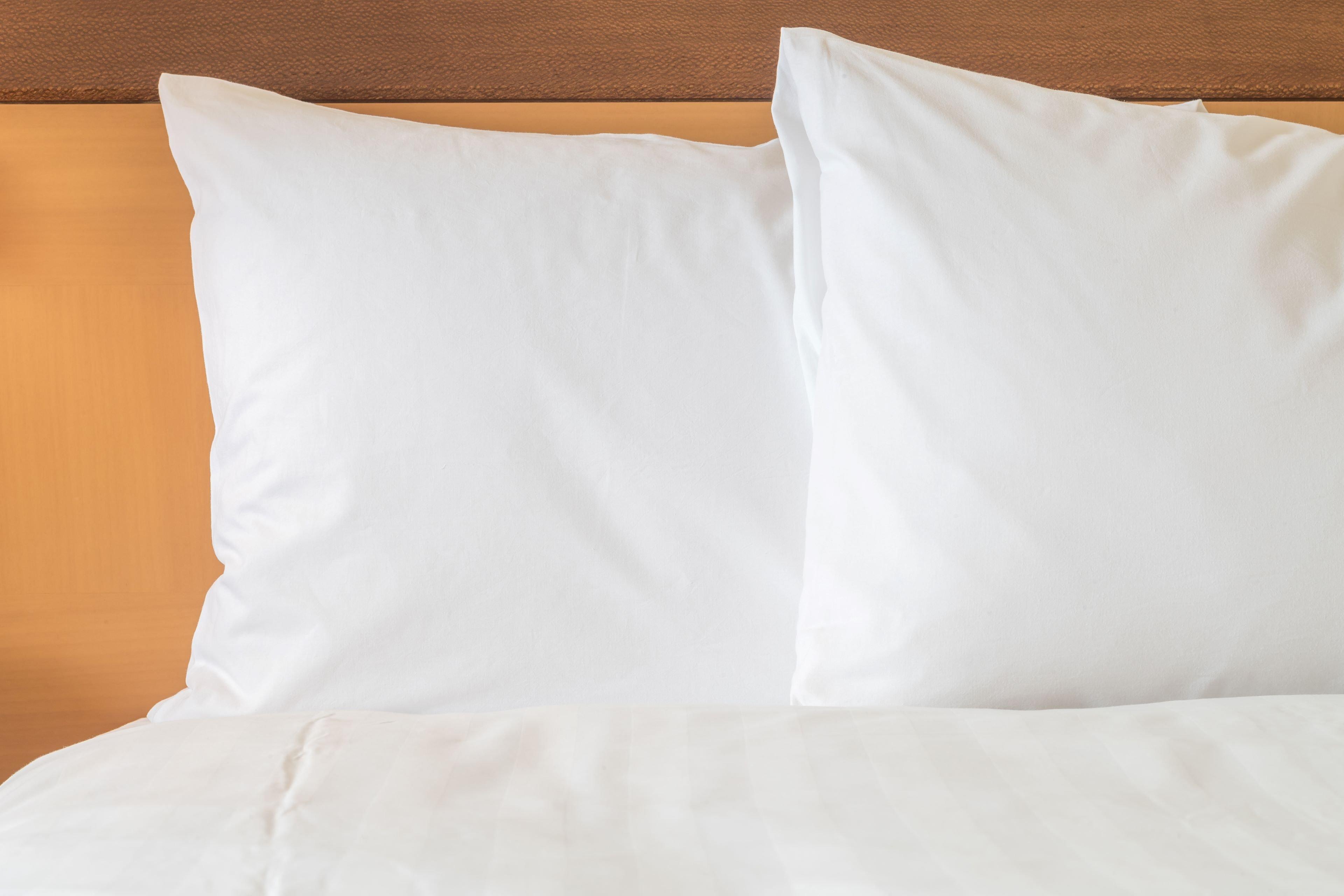 Holiday Inn Express Hotel & Suites Santa Cruz By Ihg Luaran gambar